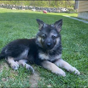 Meet your Posher, Jeremy